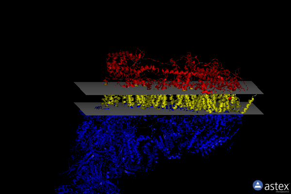 Membrane view of 7w0r