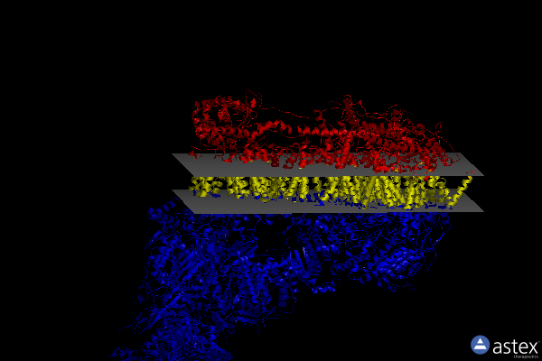 Membrane view of 7w1o