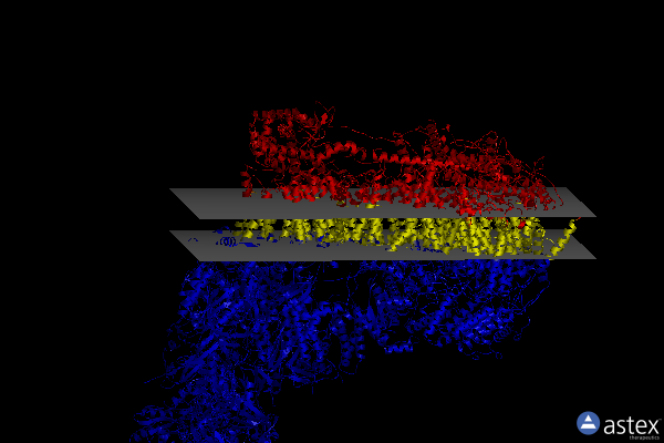 Membrane view of 7w20