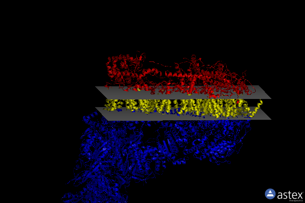 Membrane view of 7w2l