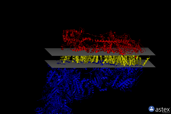 Membrane view of 7w2u