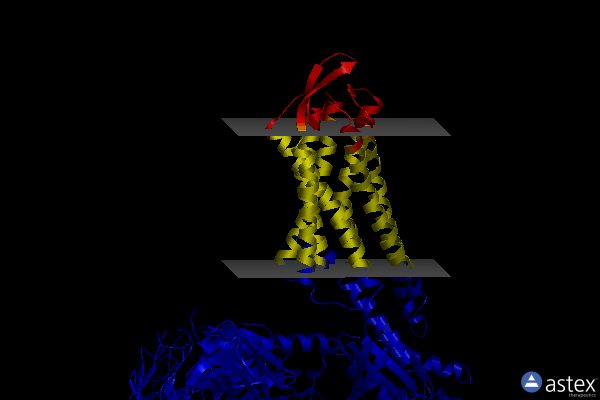 Membrane view of 7w40