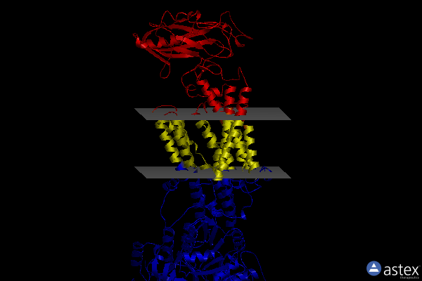Membrane view of 7w48