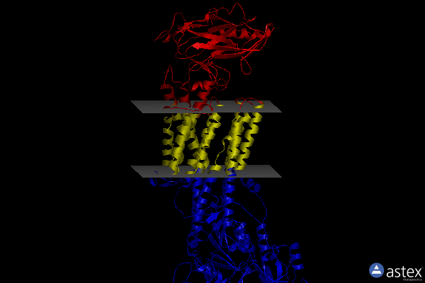 Membrane view of 7w49