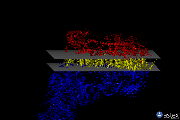 Membrane view of 7w4e