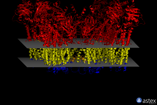 Membrane view of 7w4o