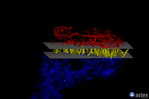 Membrane view of 7w4q