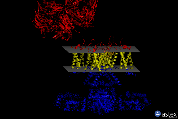 Membrane view of 7w6t