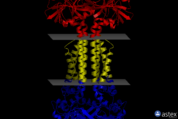Membrane view of 7w79