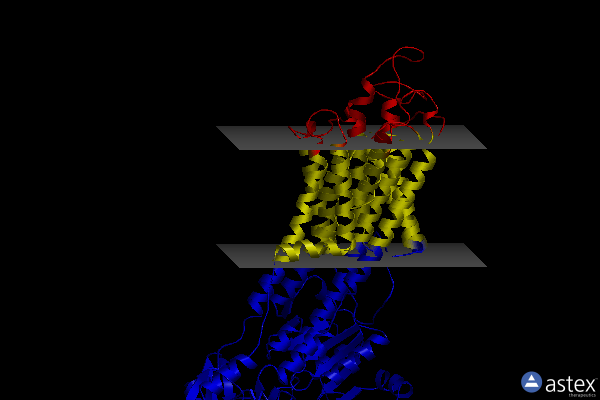 Membrane view of 7w7v