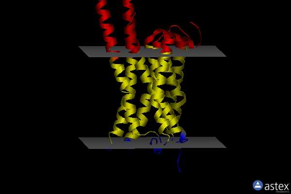 Membrane view of 7wc5