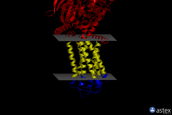 Membrane view of 7wcm