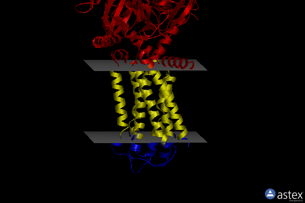 Membrane view of 7wcn
