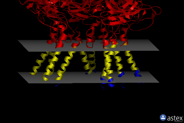 Membrane view of 7wco