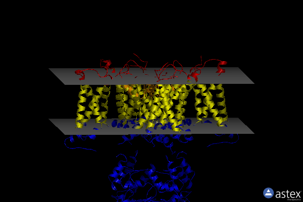 Membrane view of 7wf4