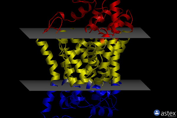 Membrane view of 7wgt