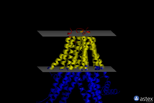 Membrane view of 7wit