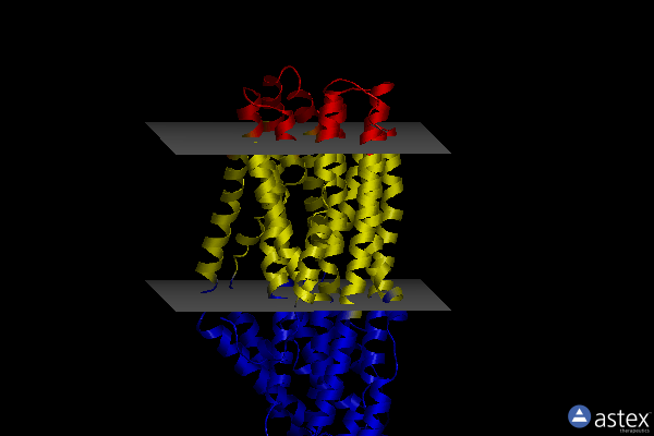 Membrane view of 7wiv