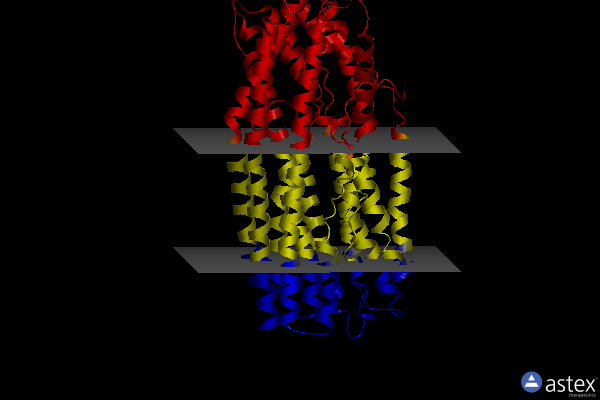 Membrane view of 7wiw
