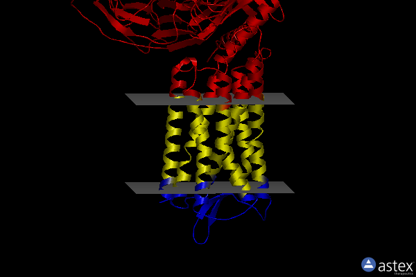 Membrane view of 7wj5