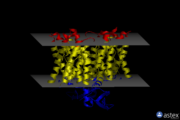 Membrane view of 7wkw