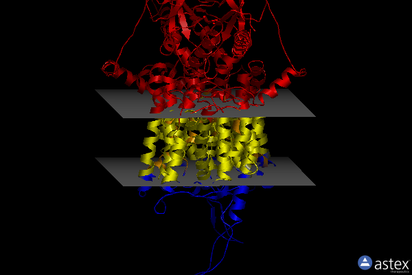 Membrane view of 7wla