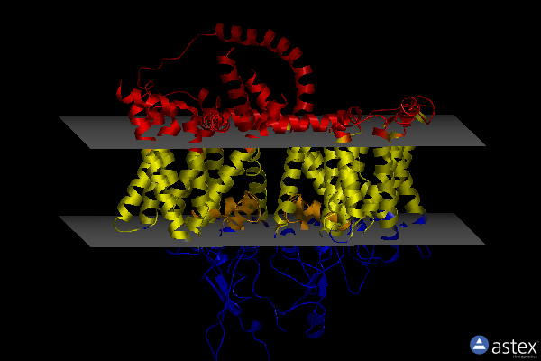 Membrane view of 7wlk