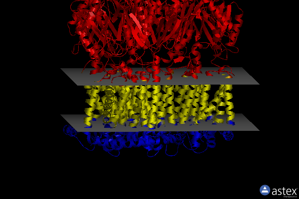 Membrane view of 7wlv