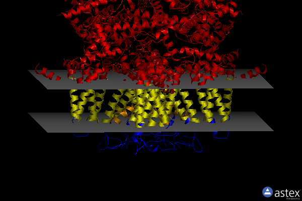 Membrane view of 7wrc
