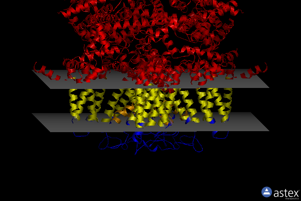Membrane view of 7wrd