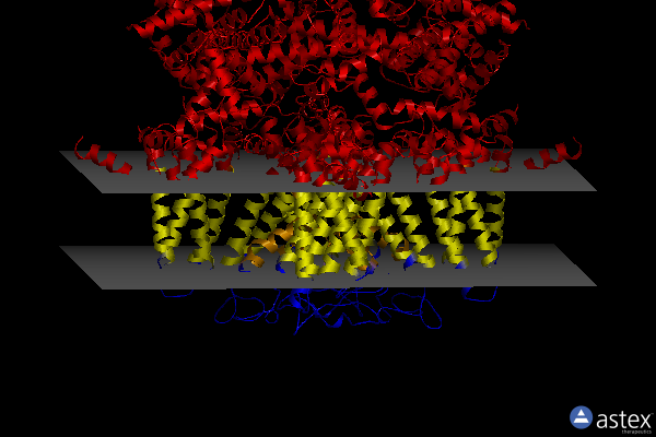Membrane view of 7wre