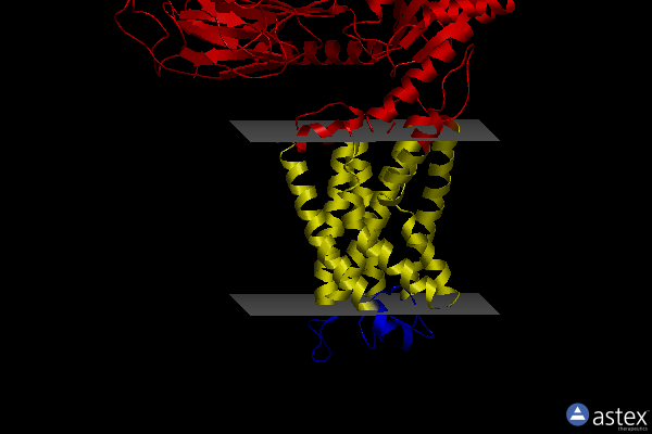 Membrane view of 7wu5