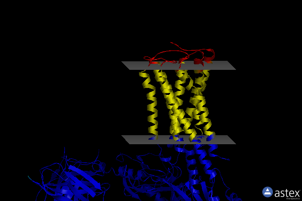 Membrane view of 7wv9