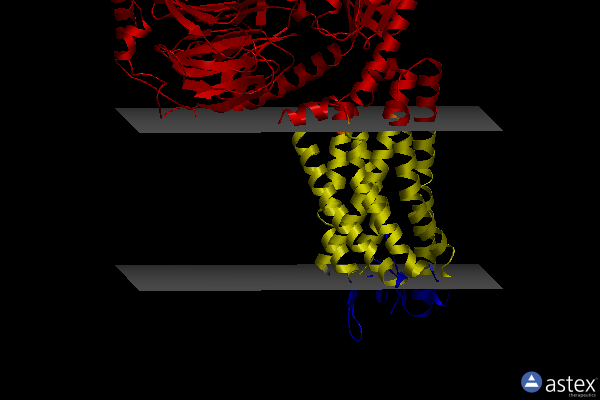 Membrane view of 7wvy
