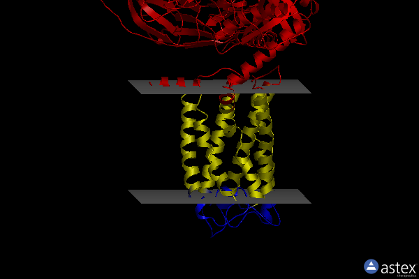 Membrane view of 7wxw