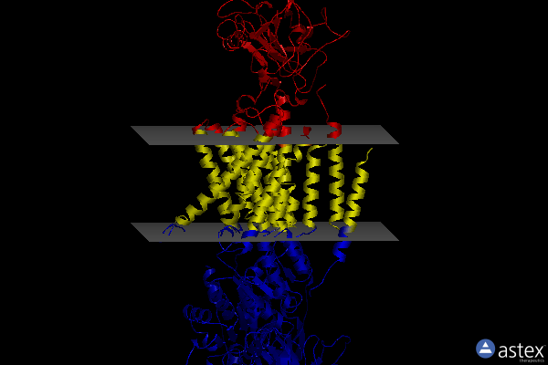 Membrane view of 7wys
