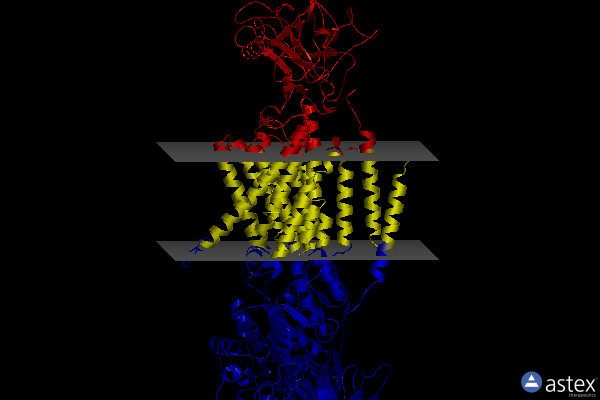 Membrane view of 7wyt