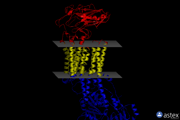 Membrane view of 7wyy