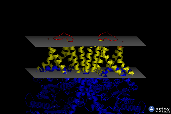 Membrane view of 7x06