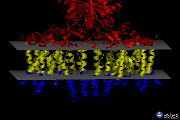 7x1g
