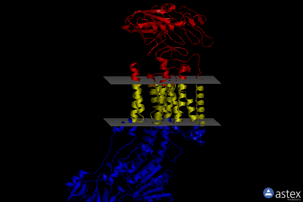 Membrane view of 7x21