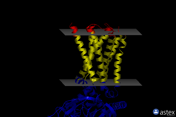 Membrane view of 7x2c
