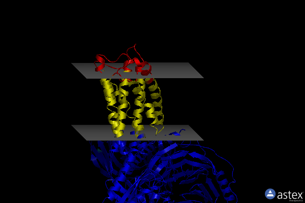 Membrane view of 7x2v
