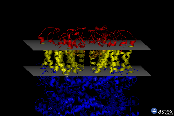 Membrane view of 7x6c