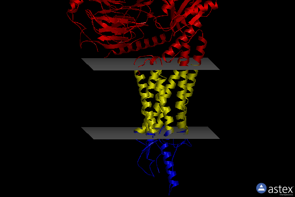Membrane view of 7x9a