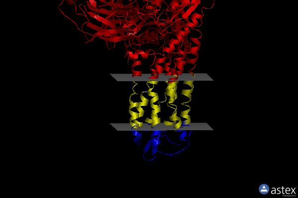 Membrane view of 7xau