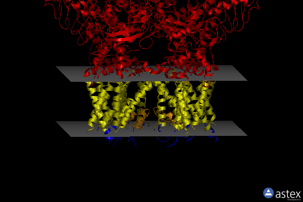 Membrane view of 7xeu