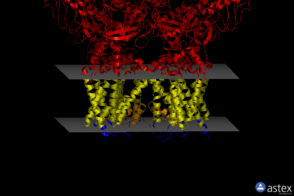 Membrane view of 7xew