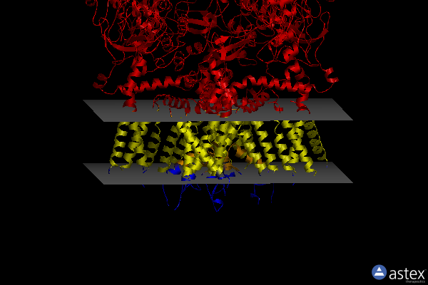Membrane view of 7xj3