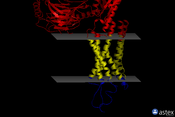 Membrane view of 7xk8